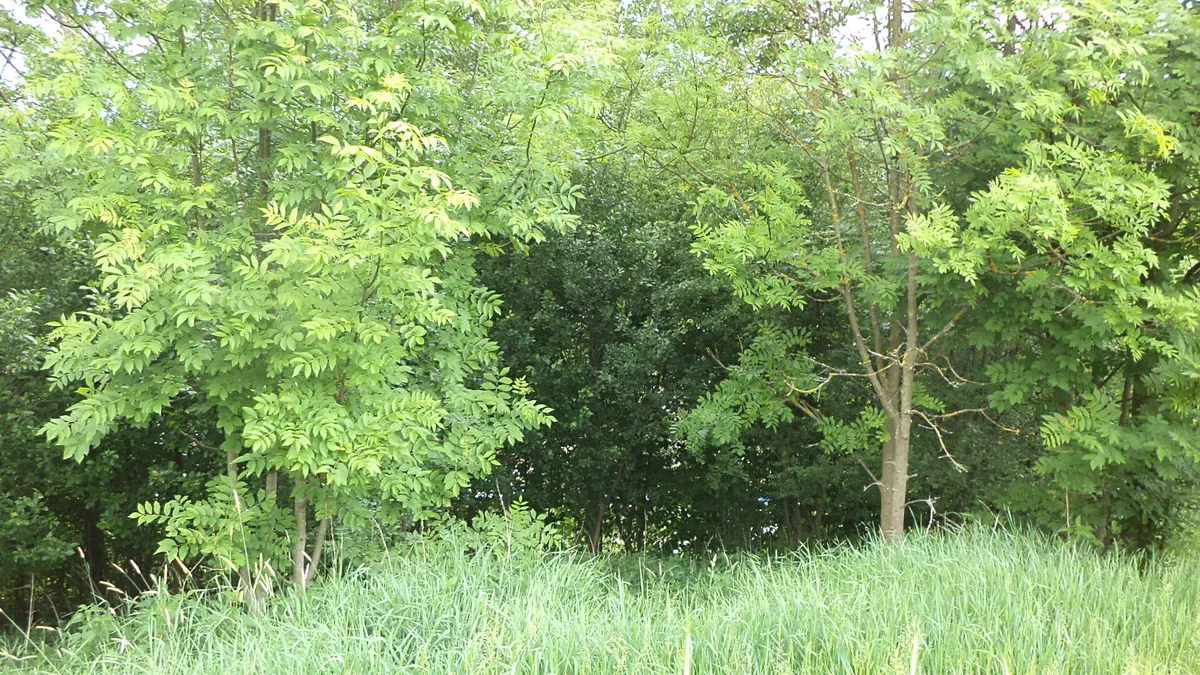 Fotka 4 z 6