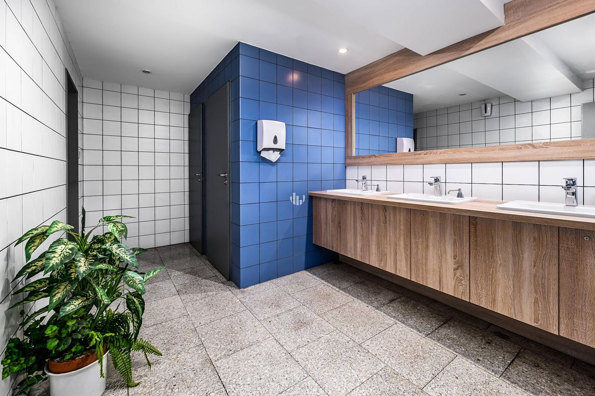 Pronájem kanceláře 526 m² – fotografie 5