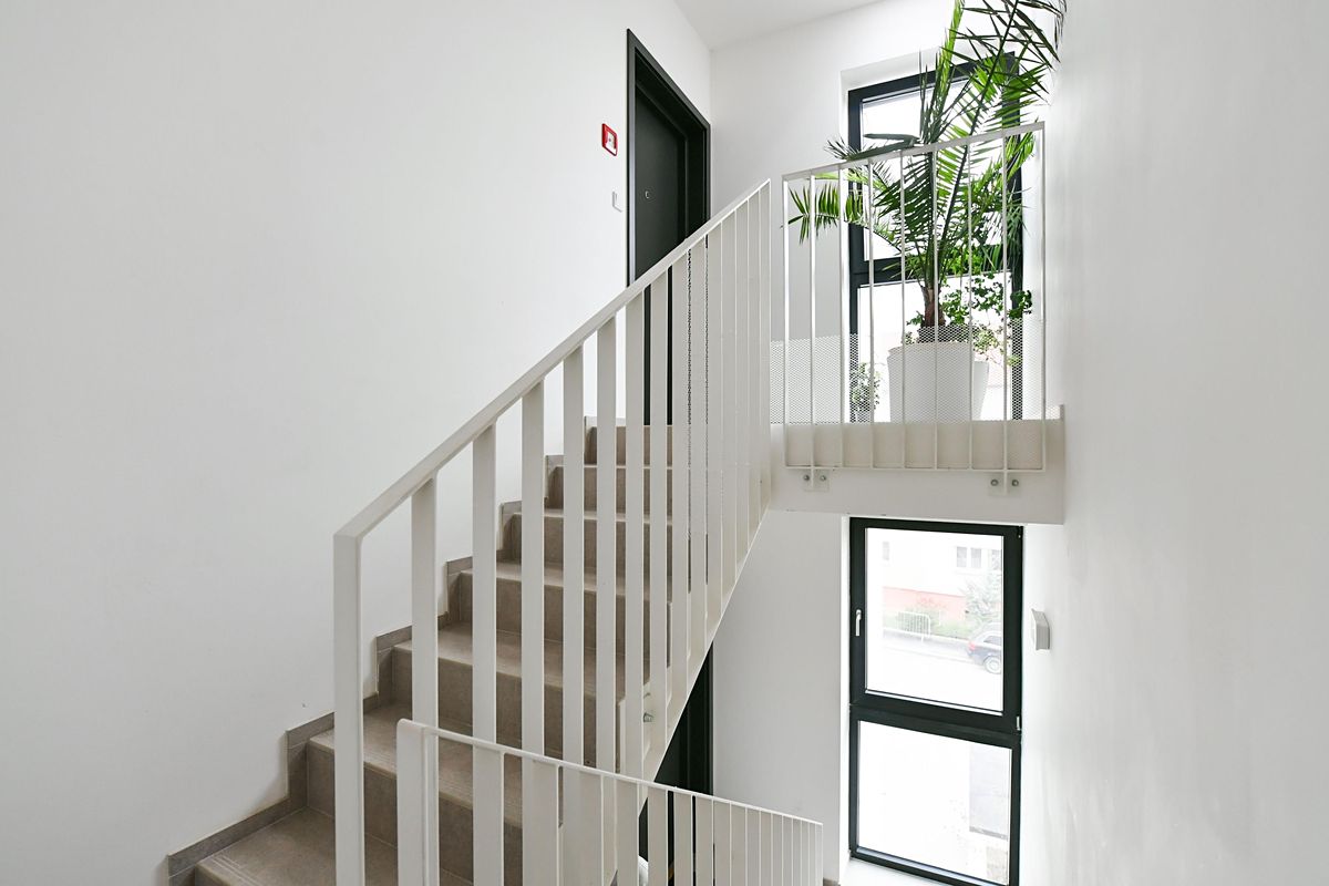 Prodej rodinného domu 272 m², pozemek 272 m² – fotografie 4