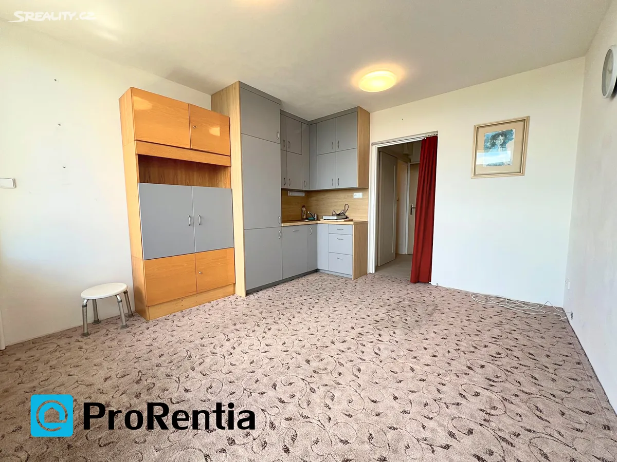 Pronájem bytu 1+kk 22 m² - Widok 5