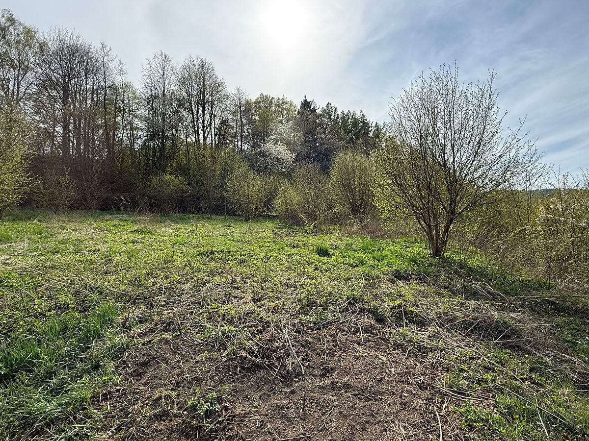 Prodej stavebního pozemku 3553 m² – fotografie 3