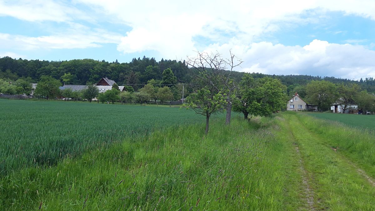 Prodej stavebního pozemku 4373 m²