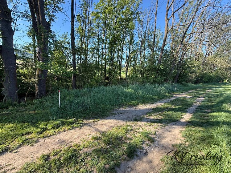 Grundstück zum Kauf, 1.297 m² (3 von 12)