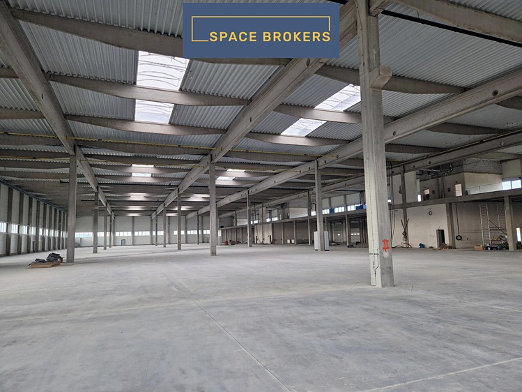 Комерційне приміщення в оренду, 1 700 м² (4 з 7)