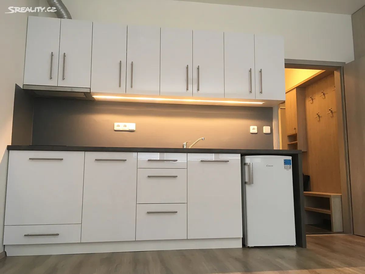 Pronájem bytu 1+kk 26 m² – další