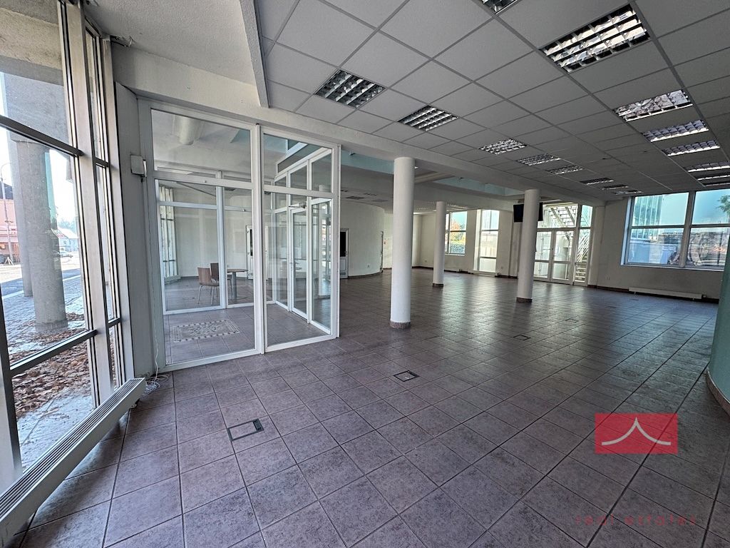 Pronájem komerční nemovitosti 250 m² – fotografie 4