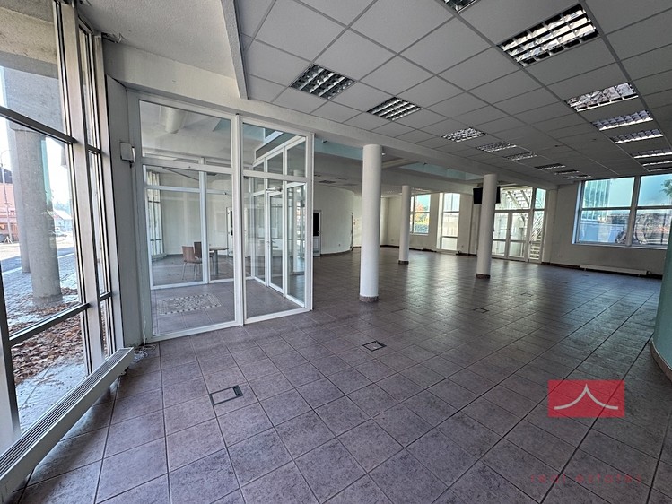 Gewerbefläche zur Miete, 250 m² (4 von 16)