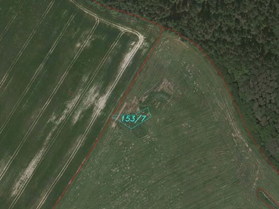 Dražba  louky 3 756 m² — photo 3