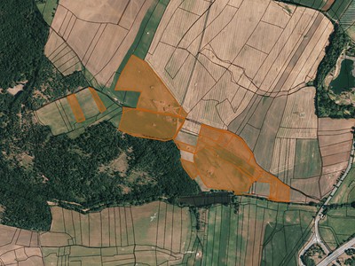 Prodej  louky 167 112 m²