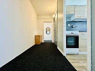 Pronájem bytu 2+1 58 m² (Jednopodlažní) — photo 3