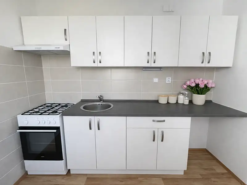 Pronájem bytu 3+1 68 m², Litvínov – náhled fotky 2