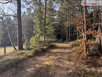 Prodej  lesa 11 340 m² — photo 2