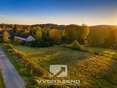 Prodej  louky 2 670 m²