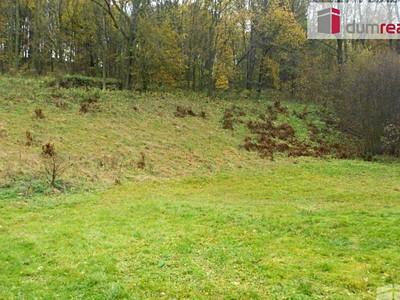 Prodej  stavebního pozemku 10 000 m² — photo 2
