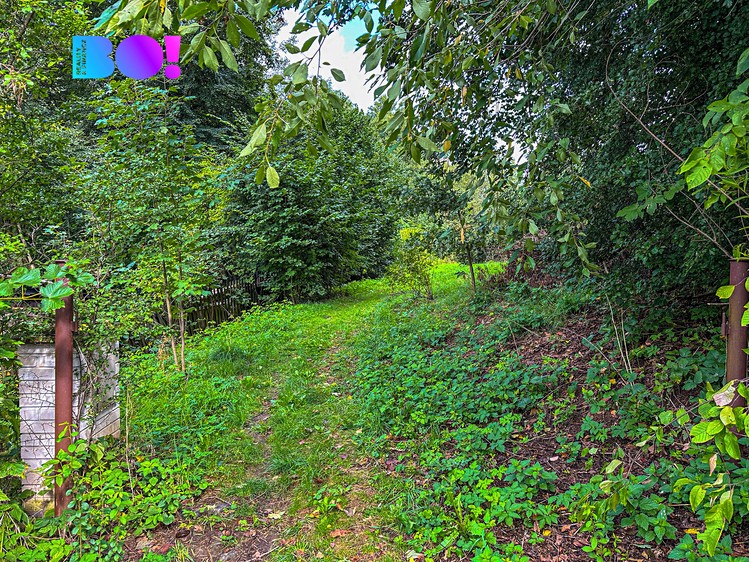Grundstück zum Kauf, 3.959 m² (11 von 16)
