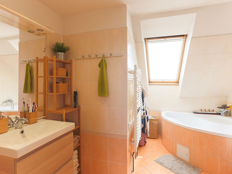 Prodej domu, 325 m² (5 z 20)