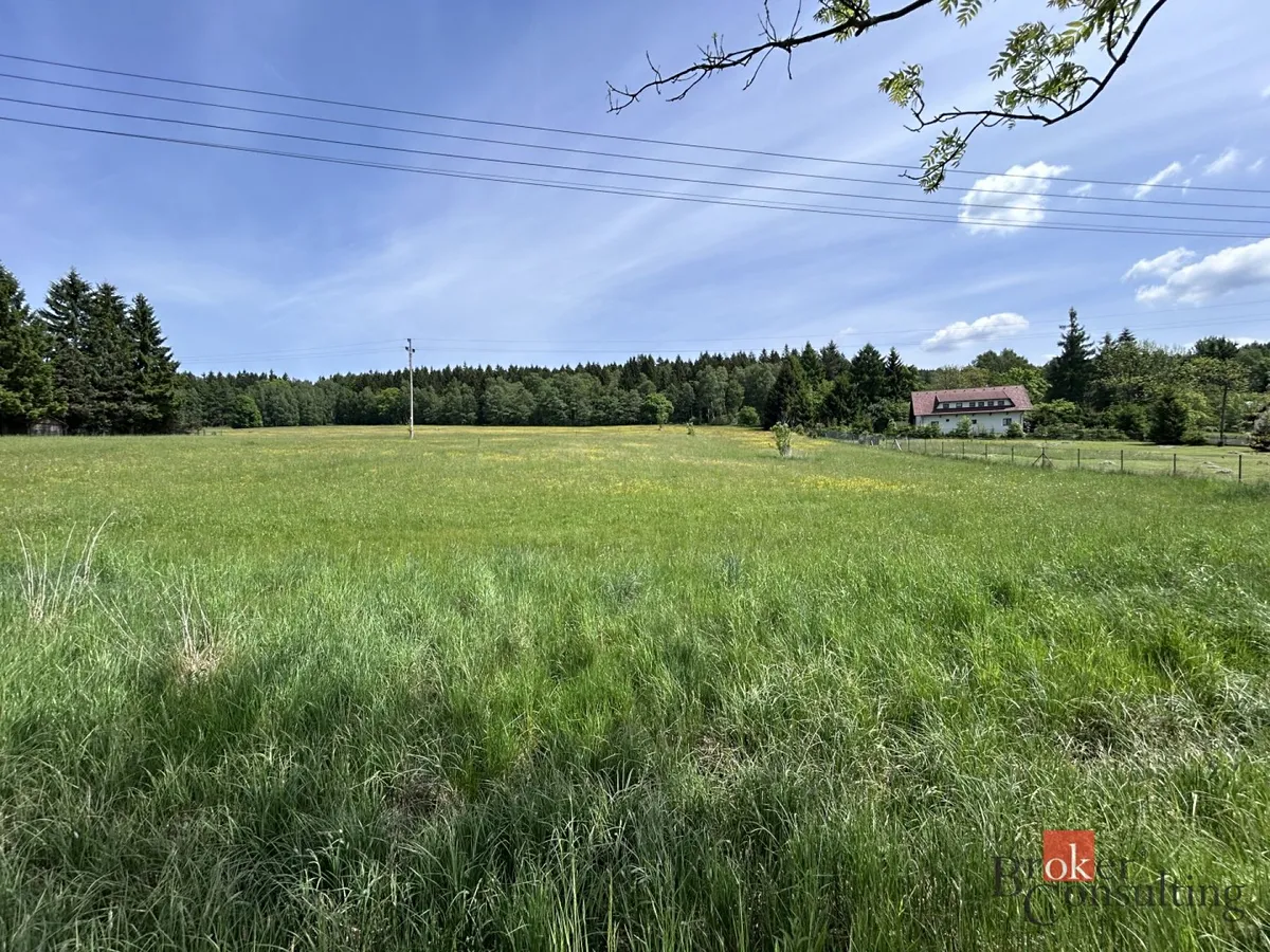 Prodej louky 8717 m²