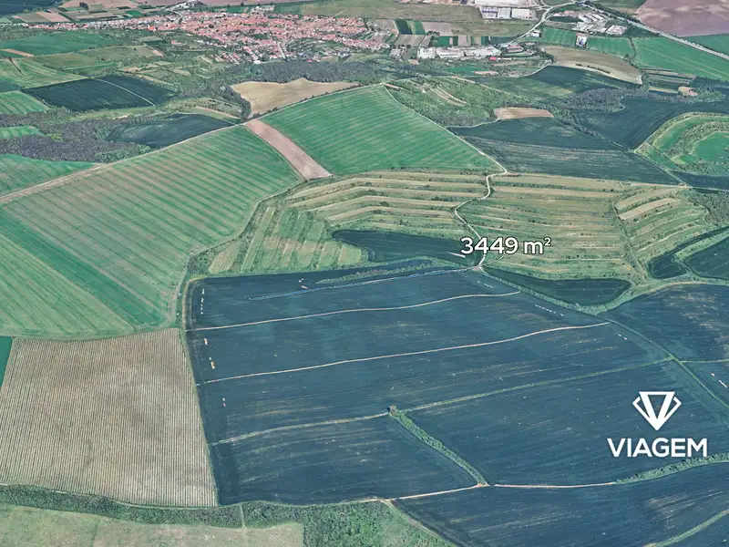 Prodej pole 3449 m², Nosislav – náhled fotky 1