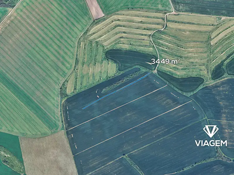 Prodej pole 3449 m², Nosislav – náhled fotky 2