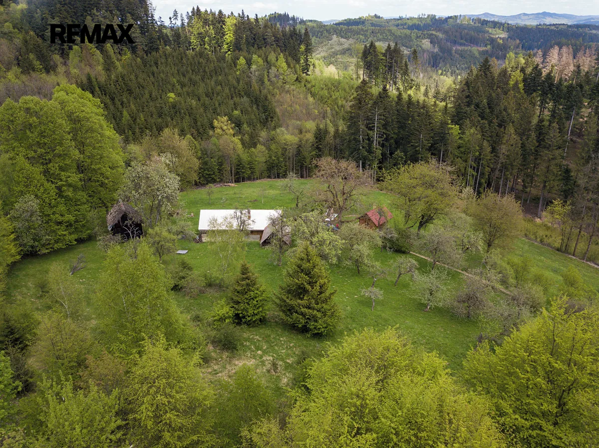 Fotka 18 z 26