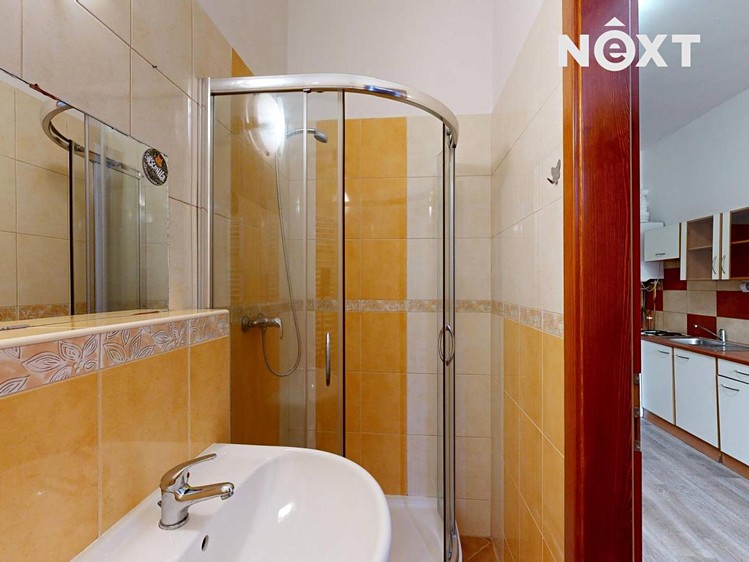 Pronájem bytu 1+1, 41 m² (15 z 17)