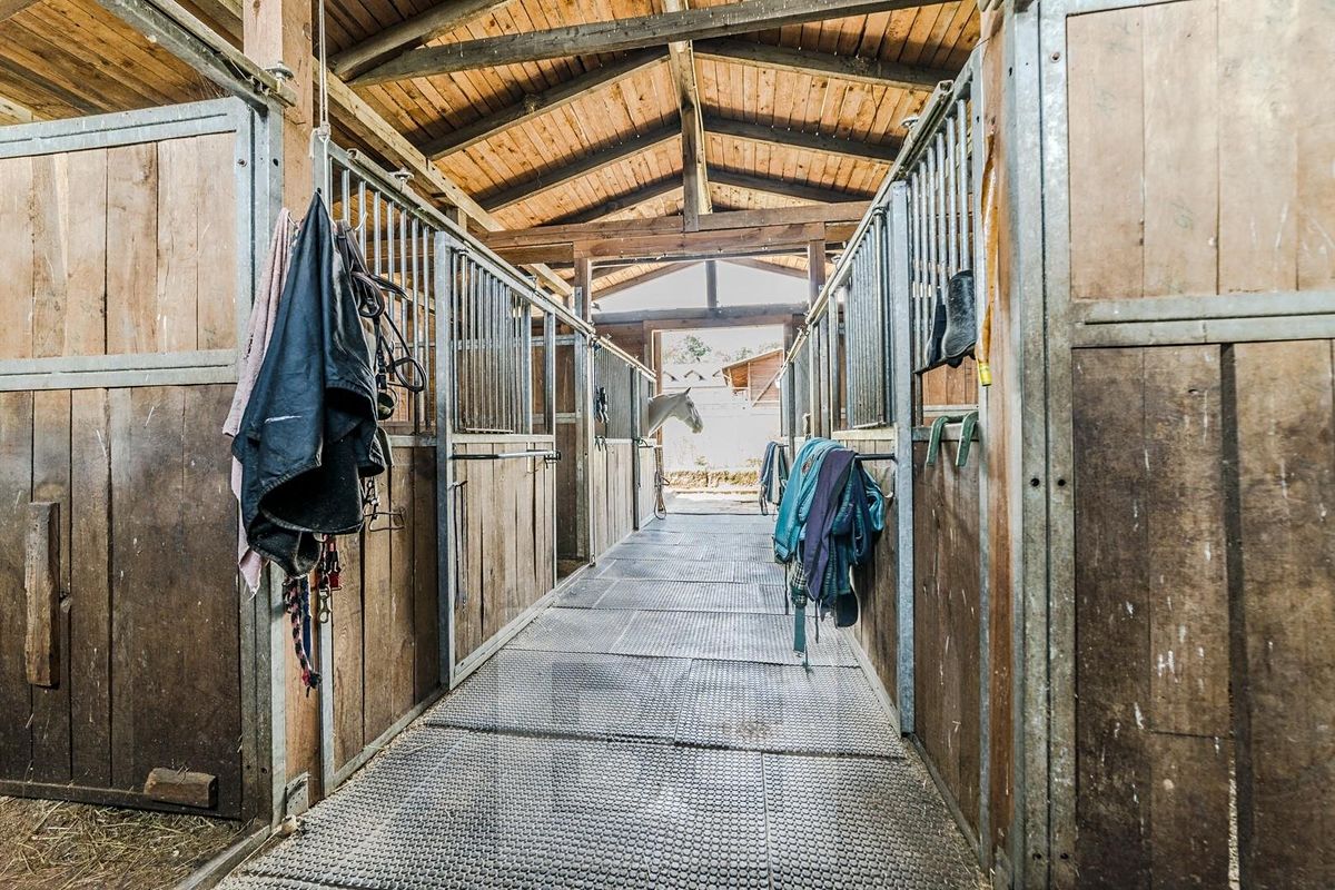 Prodej rodinného domu 400 m², pozemek 242000 m² – fotografie 5