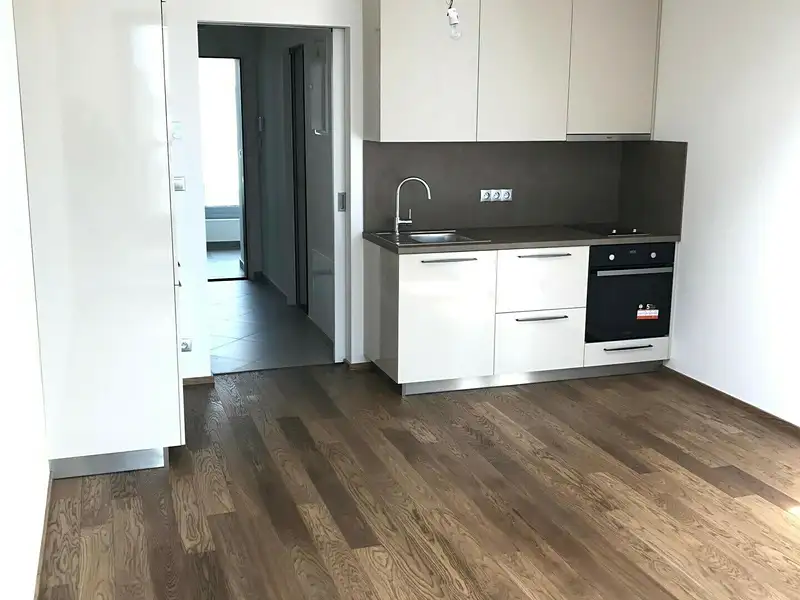 Prodej bytu 1+kk 34 m², Praha – náhled fotky 2