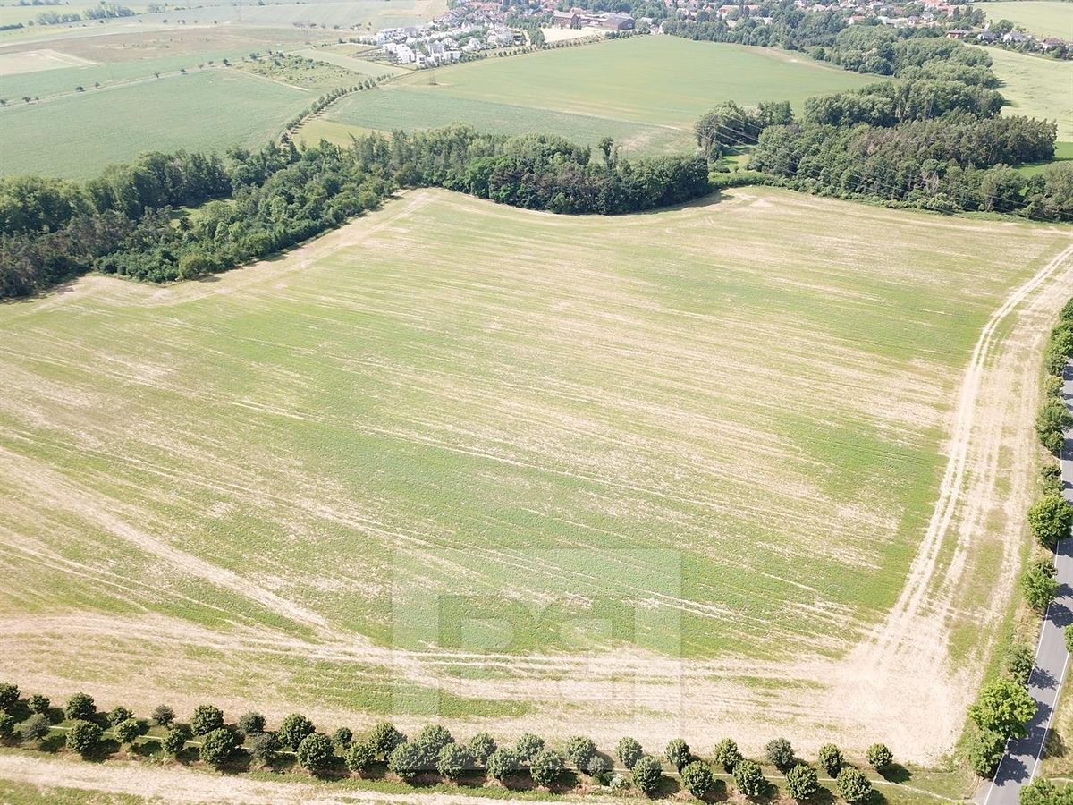 Prodej pole 11406 m² – fotografie 4