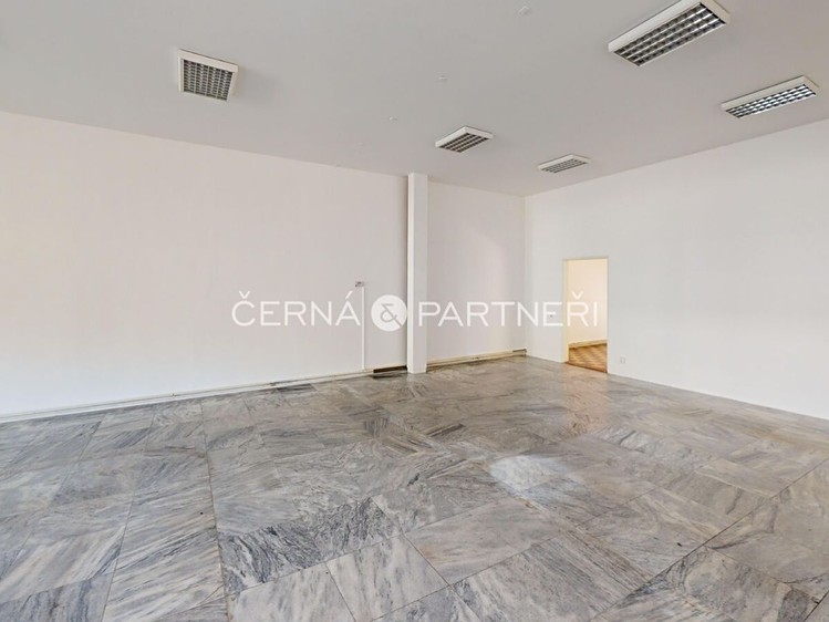 Pronájem komerčního prostoru, 319 m² (4 z 14)