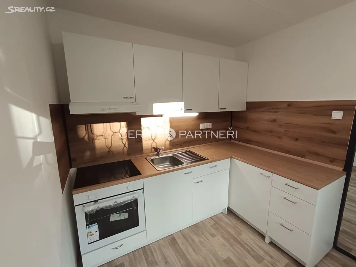 Pronájem bytu 3+1 53 m², Most