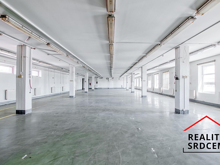 Pronájem komerčního prostoru, 613 m² (4 z 18)