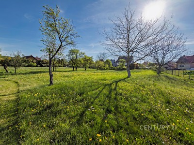 Grundstück zum Kauf, 1.506 m² (3 von 17)