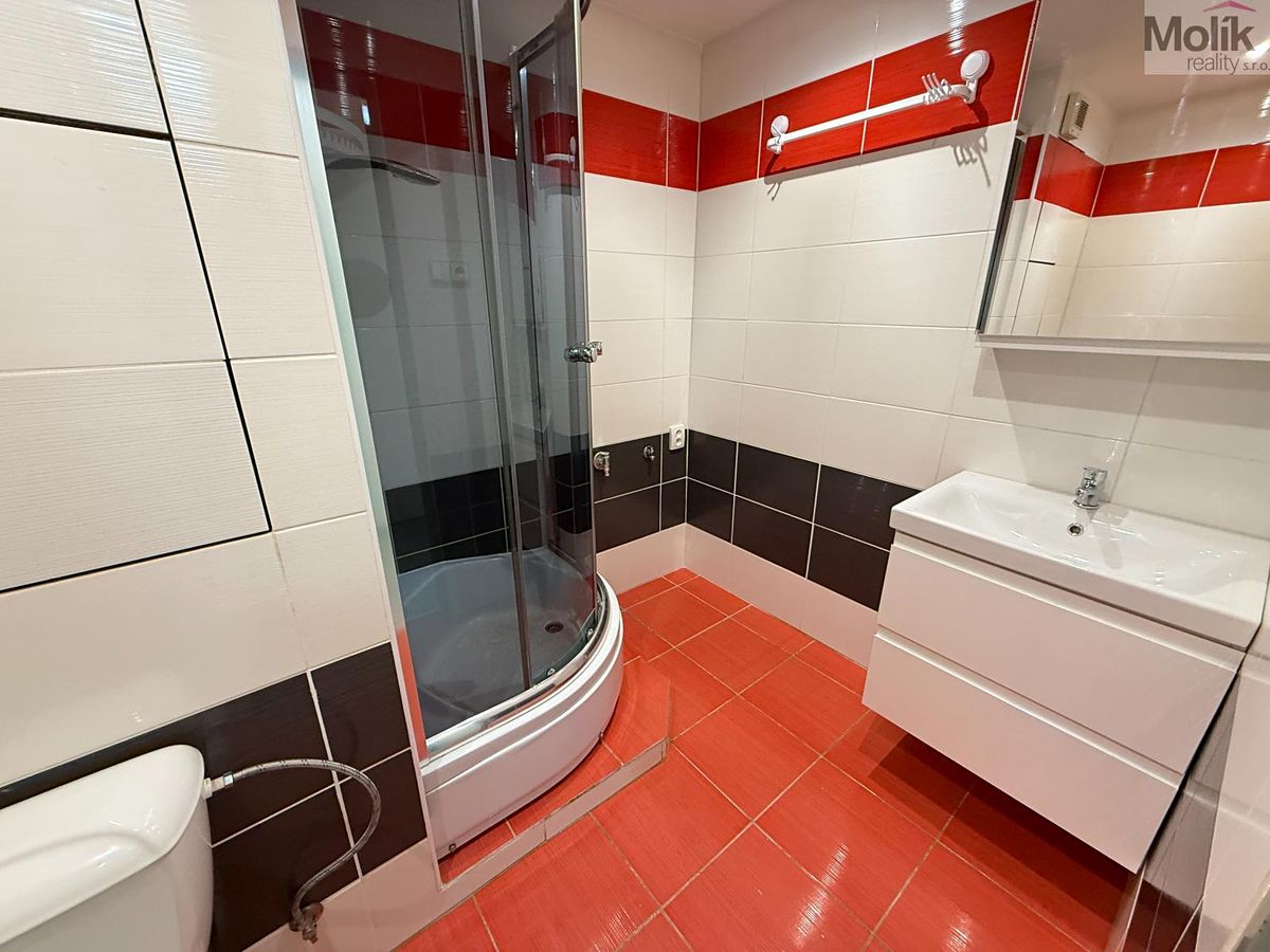 Pronájem bytu 2+1 49 m² – fotografie 3
