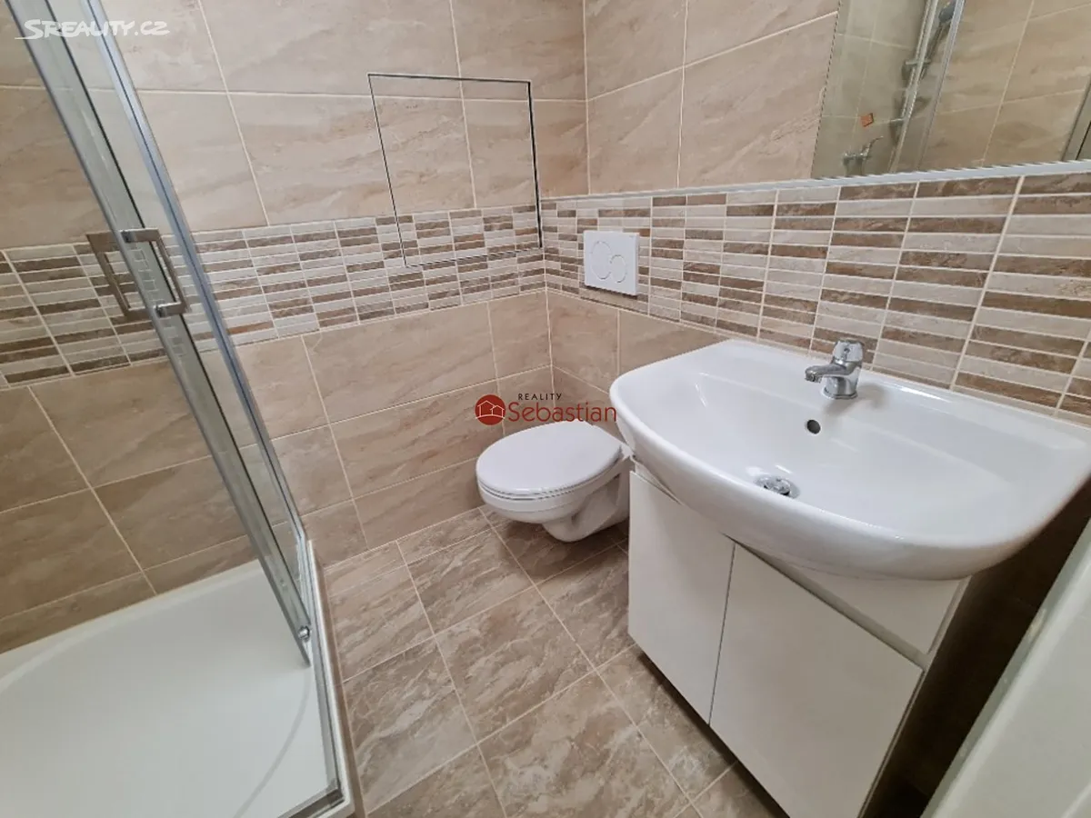 Pronájem bytu 2+1 48 m² – pohled 5