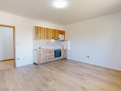 Pronájem bytu 1+kk 31 m²