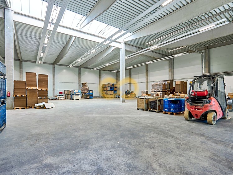 Pronájem komerčního prostoru, 1 300 m² (7 z 11)