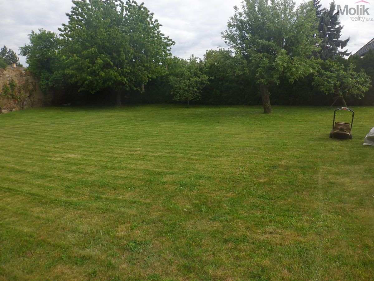 Prodej rodinného domu 240 m², pozemek 880 m² – fotografie 5