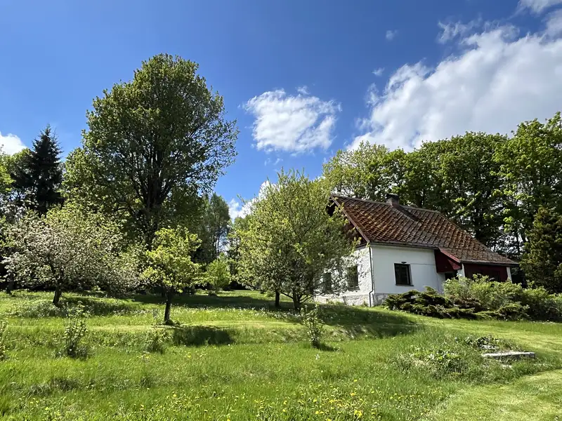 Prodej rodinného domu 145 m², pozemek 4004 m², Jindřichovice – náhled fotky 1
