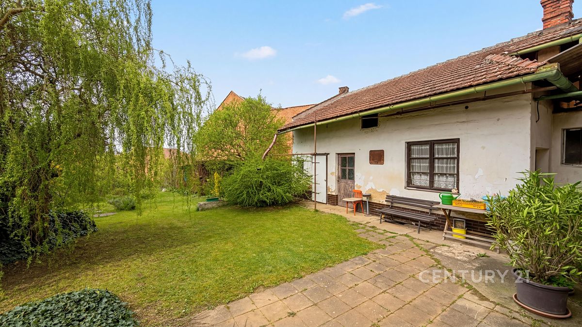Prodej rodinného domu 246 m², pozemek 1425 m² – fotografie 4