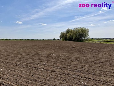 Prodej  pole 16 355 m²