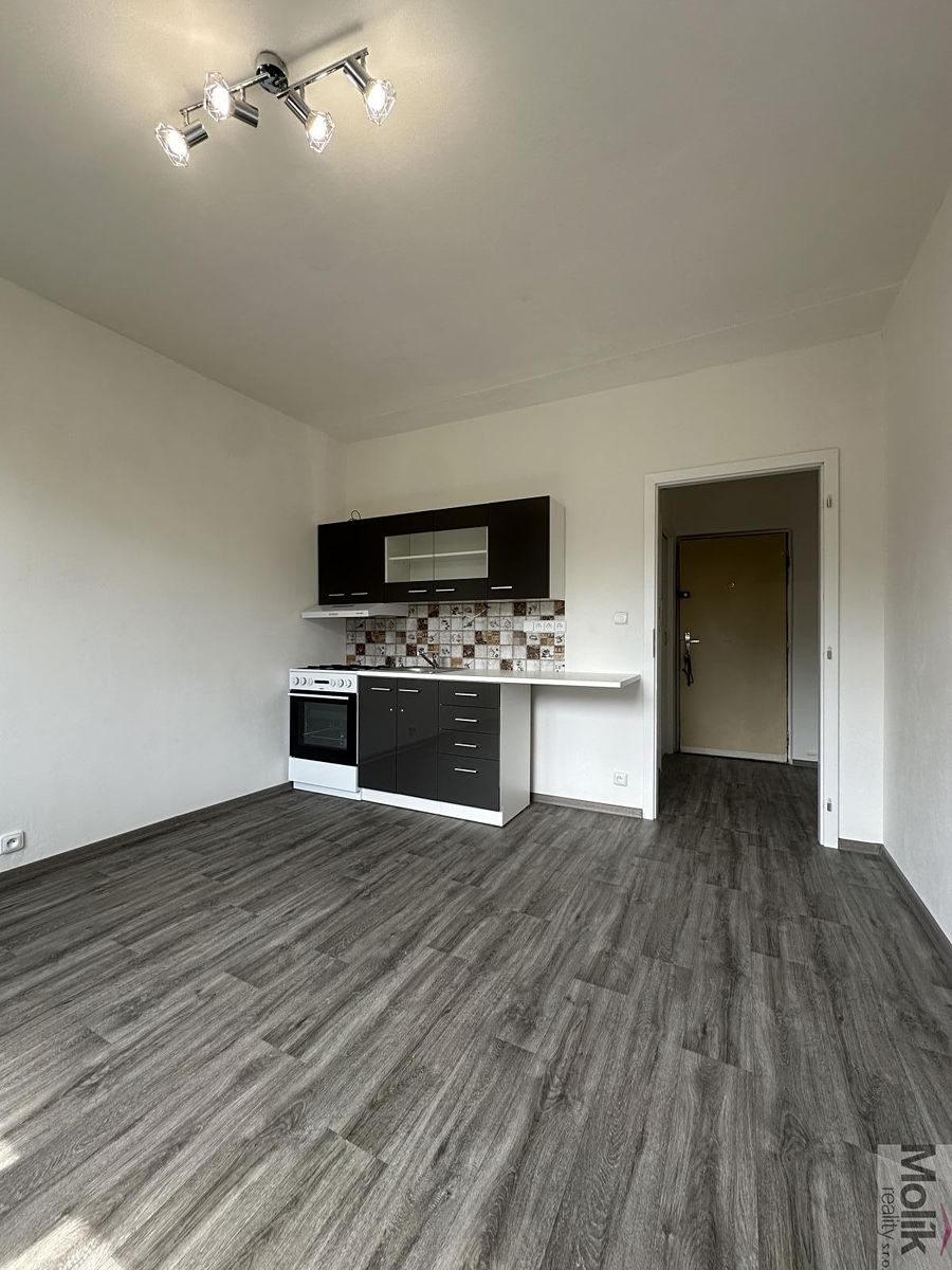 Pronájem bytu 1+1 36 m² – fotografie 3