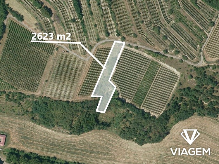 Ділянка на продаж, 2 623 м² (4 з 4)