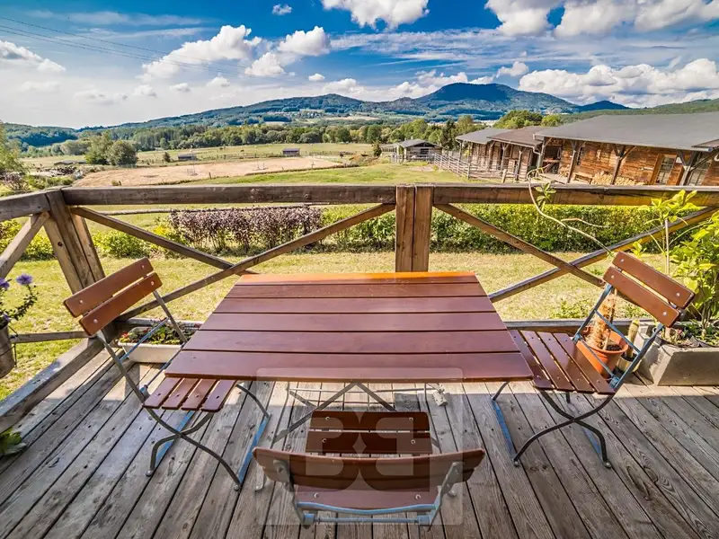 Prodej rodinného domu 400 m², pozemek 242000 m², Malečov – náhled fotky 2