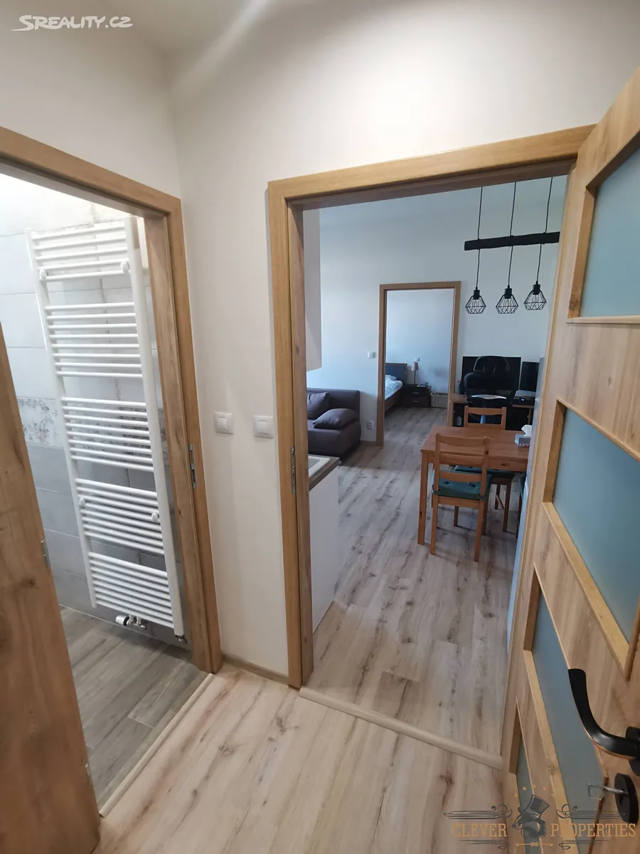 Pronájem bytu 2+kk 48 m² – pohled 6