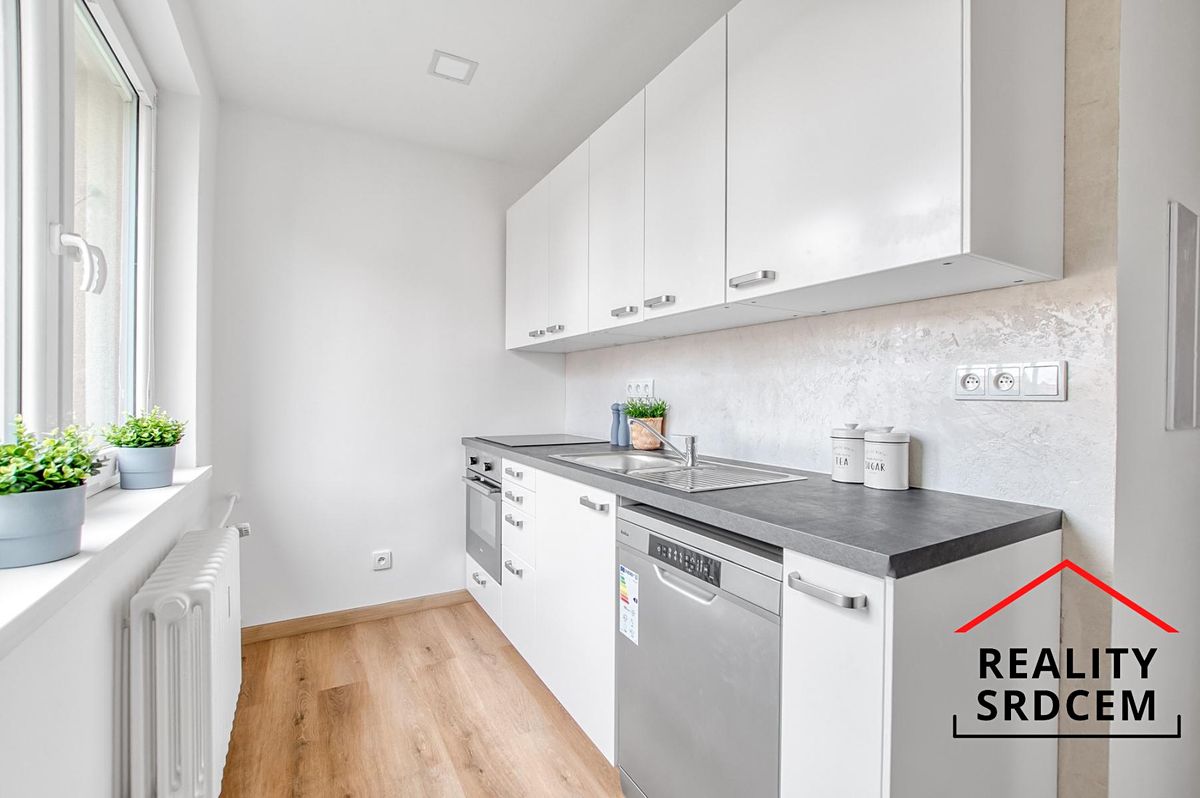 Pronájem bytu 1+1 41 m²