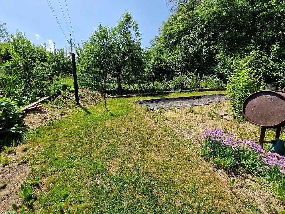 Fotka 14 z 19