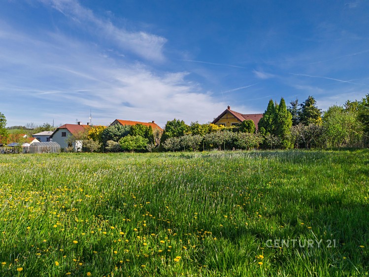 Prodej pozemku, 1 540 m² (3 z 16)