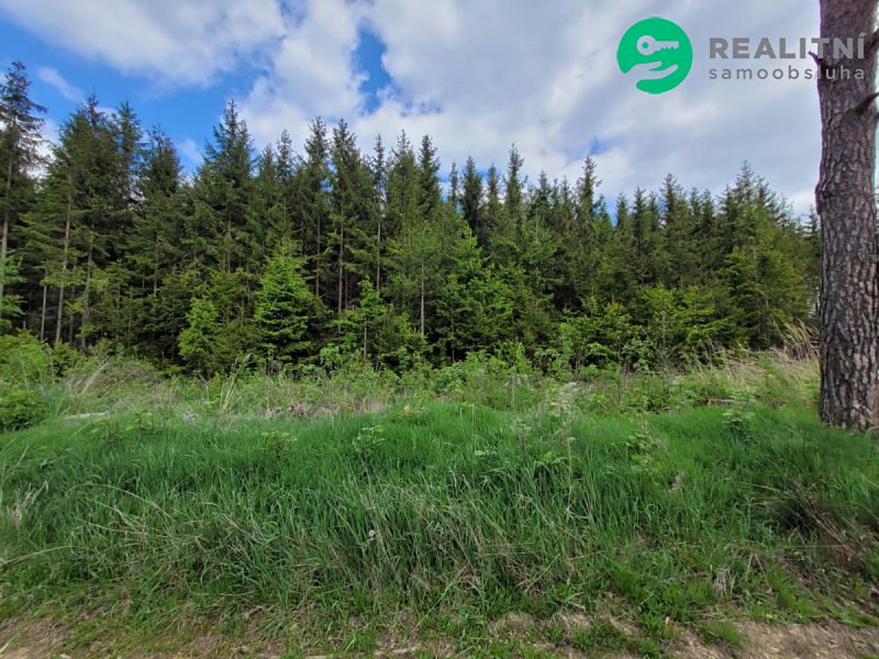 Prodej lesa 72939 m²