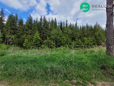 Prodej lesa 72939 m²