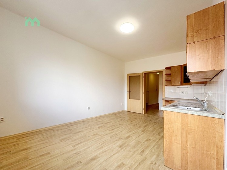 Wohnung 2+1 zur Miete, 60 m² (10 von 40)